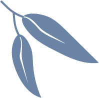 Elementos_cci_9